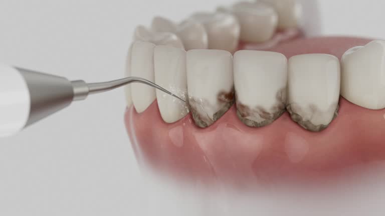 Reliable Dental contractor in Rock Island, IL by Dentist Open Now